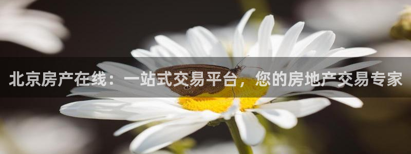 和记平台官网