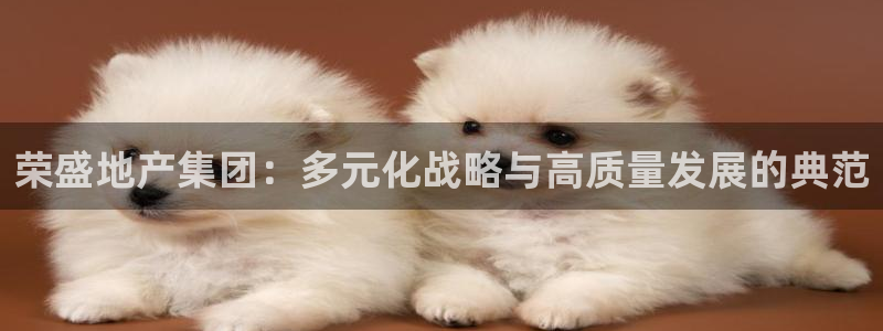 和记大合城dk2官网：荣盛地产集团：多元化战略与高质量发展的
