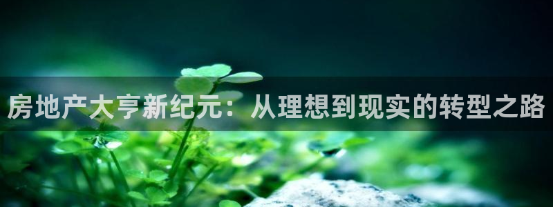 和记一品官网：房地产大亨新纪元：从理想到现实的转型之路