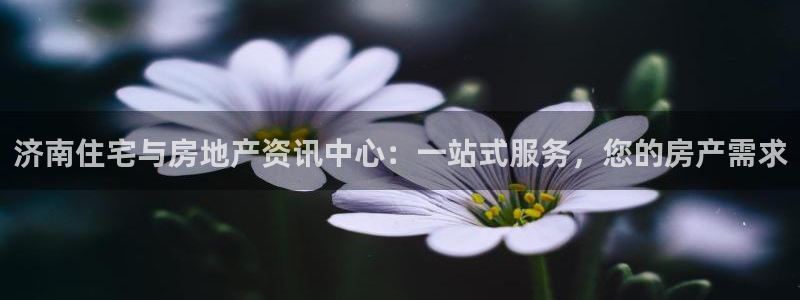 和记娱技精h88285官网：济南住宅与房地产资讯中心：一站式