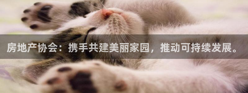 成都和记公司官网：房地产协会：携手共建美丽家园，推动可持续发