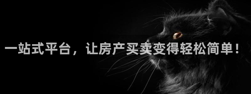 和记怡情视频官网：一站式平台，让房产买卖变得轻松简单！