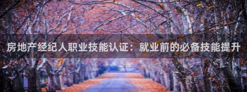 和记网开户官网：房地产经纪人职业技能认证：就业前的必备技能提