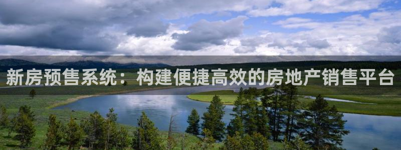 和记平台官网：新房预售系统：构建便捷高效的房地产销售平台