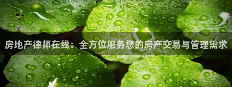 胡和记面官网：房地产律师在线：全方位服务您的房产交易与管理需