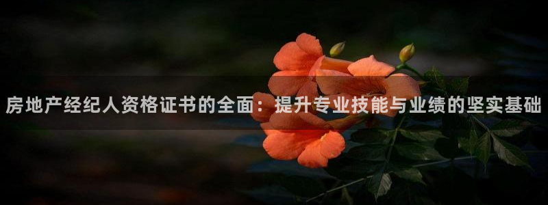 和记洋行官网：房地产经纪人资格证书的全面：提升专业技能与业绩