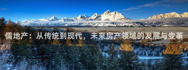 和记官网 公司：儒地产：从传统到现代，未来房产领域的发展与变