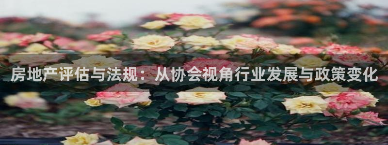 和记娱乐场所官网