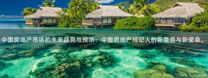 和记国际官网首页：中国房地产市场的未来趋势与预测：中国房地产