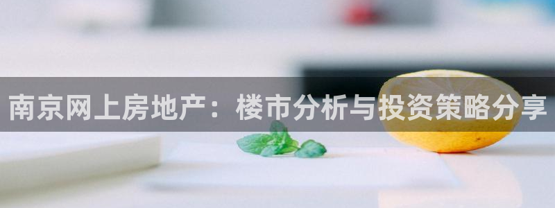 和记餐厅官网：南京网上房地产：楼市分析与投资策略分享