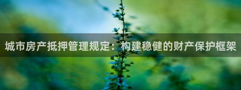 和记娱乐app官网：城市房产抵押管理规定：构建稳健的财产保护
