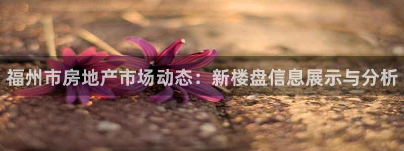 和记国际官网电话：福州市房地产市场动态：新楼盘信息展示与分析
