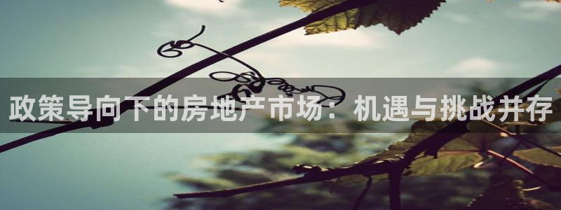 香港和记通讯官网：政策导向下的房地产市场：机遇与挑战并存