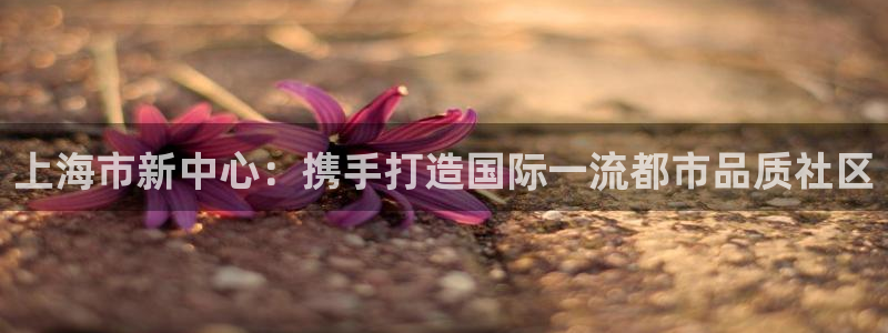 香港和记电信官网：上海市新中心：携手打造国际一流都市品质社区