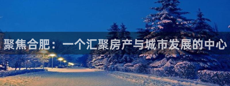 和记官网入口：聚焦合肥：一个汇聚房产与城市发展的中心