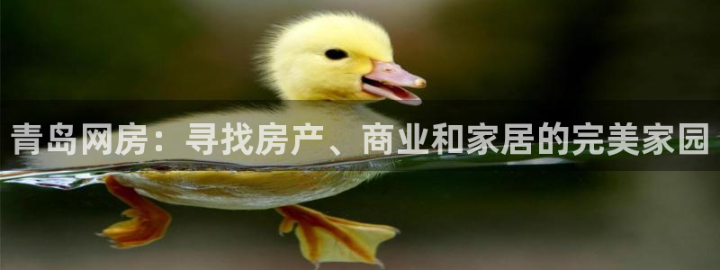 和记国际官网首页：青岛网房：寻找房产、商业和家居的完美家园