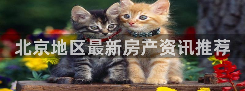 成都和记黄埔地产官网：北京地区最新房产资讯推荐