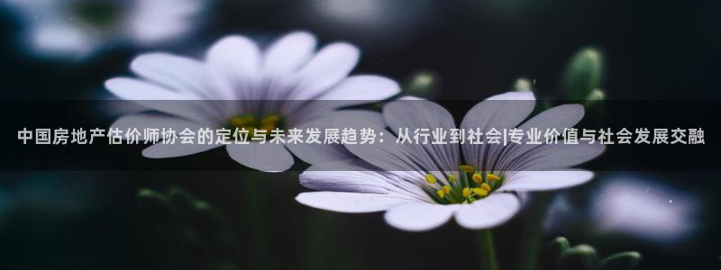 和记黄埔 官网：中国房地产估价师协会的定位与未来发展趋势：从