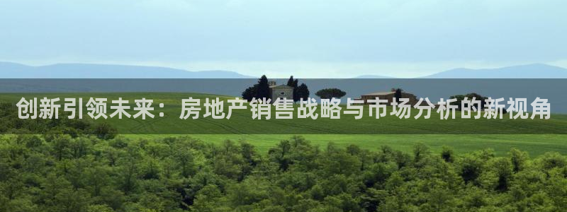 和记怡情博物官网：创新引领未来：房地产销售战略与市场分析的新