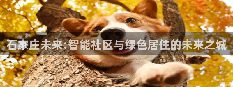 和记手机官网：石家庄未来:智能社区与绿色居住的未来之城