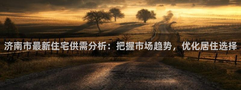 和记娱乐怡情官网：济南市最新住宅供需分析：把握市场趋势，优化