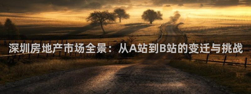 和记h188怡情官网：深圳房地产市场全景：从A站到B站的变迁