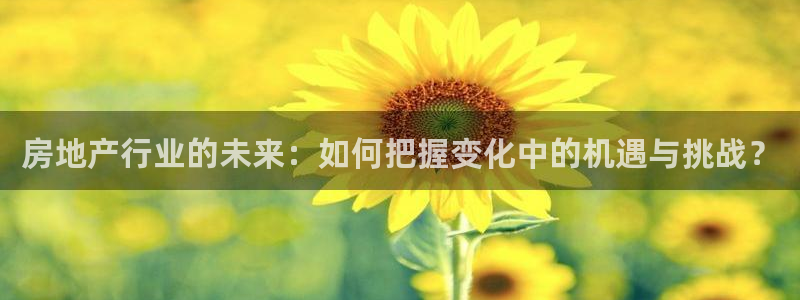 和记怡情赌博官网：房地产行业的未来：如何把握变化中的机遇与挑