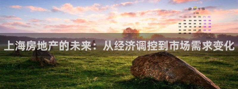 桃源记九游和官网：上海房地产的未来：从经济调控到市场需求变化