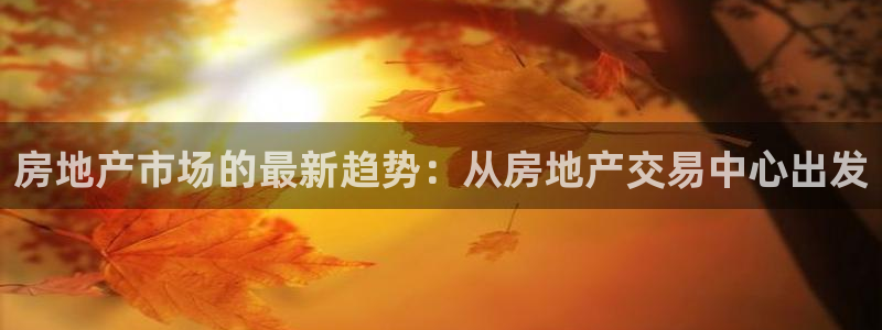 和记集团官网：房地产市场的最新趋势：从房地产交易中心出发