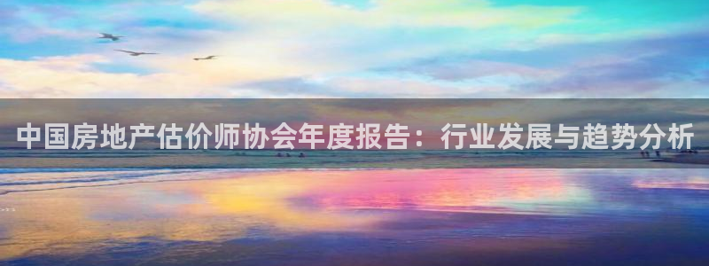 香港和记电讯公司官网：中国房地产估价师协会年度报告：行业发展