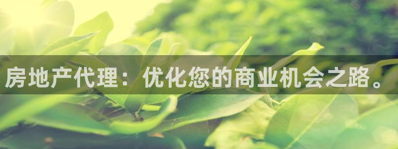 和记澳门官网