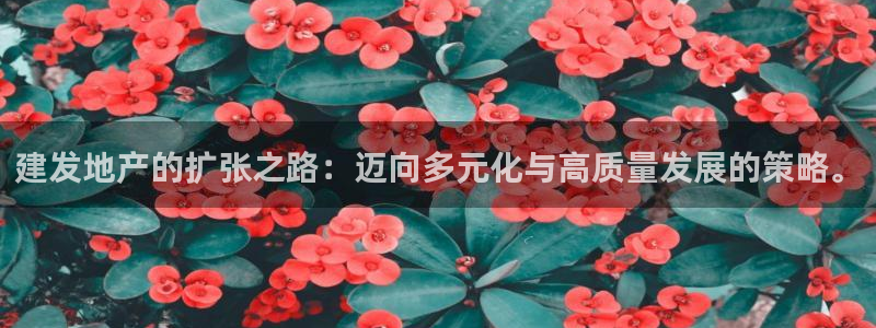 和记国际官网：建发地产的扩张之路：迈向多元化与高质量发展的策
