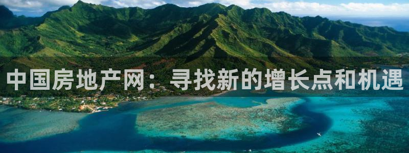 和木记手帕官网：中国房地产网：寻找新的增长点和机遇