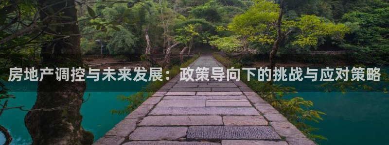 和记官网注册：房地产调控与未来发展：政策导向下的挑战与应对策