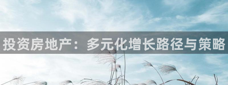 小金库钱包app下载官网和记：投资房地产：多元化增长路径与策