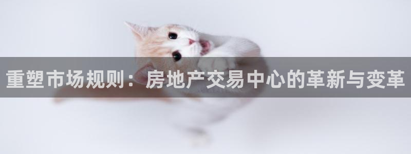 和记手游官网：重塑市场规则：房地产交易中心的革新与变革