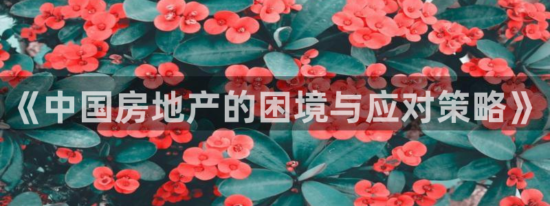 和记娱真好h88285官网：《中国房地产的困境与应对策略》