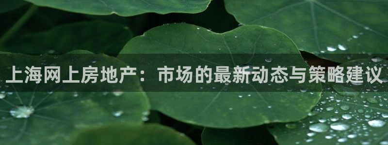 和记娱乐平台官网：上海网上房地产：市场的最新动态与策略建议