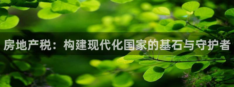 和记手游官网：房地产税：构建现代化国家的基石与守护者