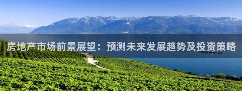 和记娱要多少钱h88285官网：房地产市场前景展望：预测未来