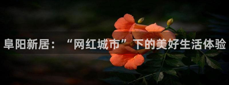重庆和记黄埔官网：阜阳新居：“网红城市”下的美好生活体验