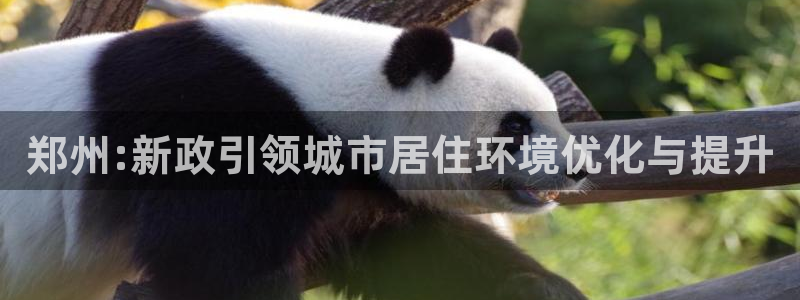和记平台官网：郑州:新政引领城市居住环境优化与提升