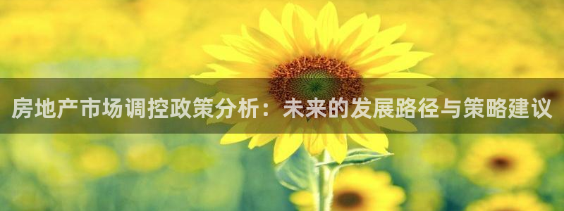 和记黄埔 官网：房地产市场调控政策分析：未来的发展路径与策略