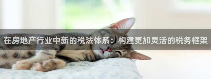 重庆和记黄埔官网：在房地产行业中新的税法体系：构建更加灵活的