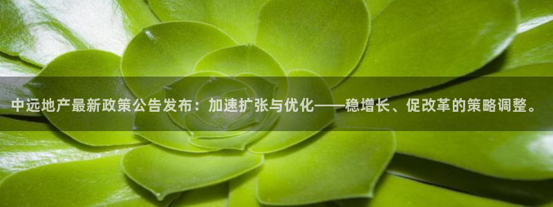 和记官网地址