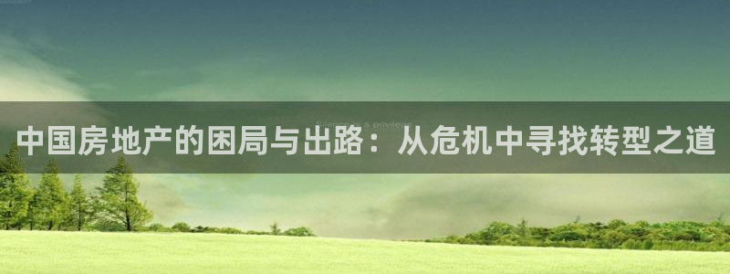 和记娱等级h88285官网：中国房地产的困局与出路：从危机中