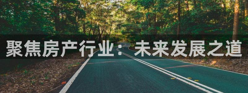 和记万佳国际家居城官网：聚焦房产行业：未来发展之道