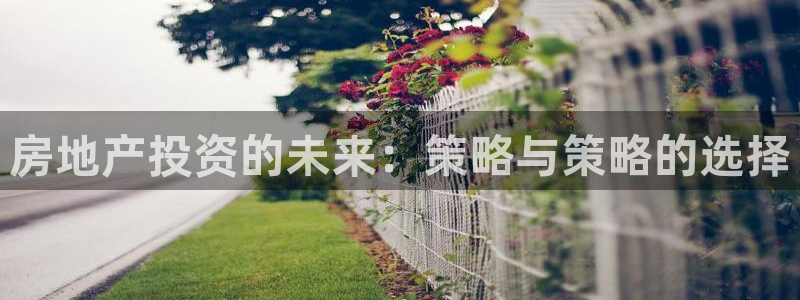 和记hgc官网：房地产投资的未来：策略与策略的选择