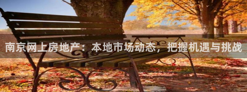 h88和记官网：南京网上房地产：本地市场动态，把握机遇与挑战
