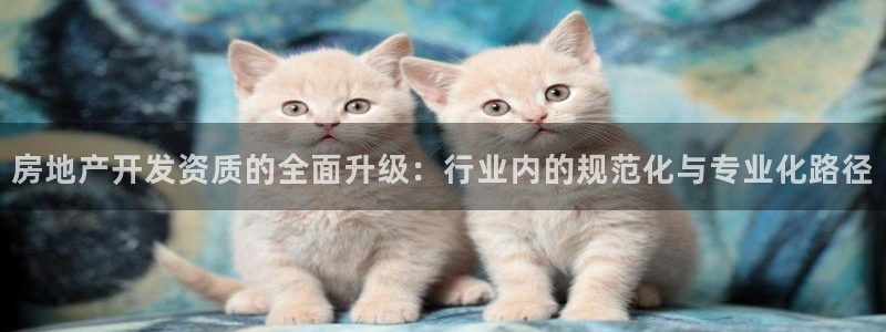 和记官网充值：房地产开发资质的全面升级：行业内的规范化与专业